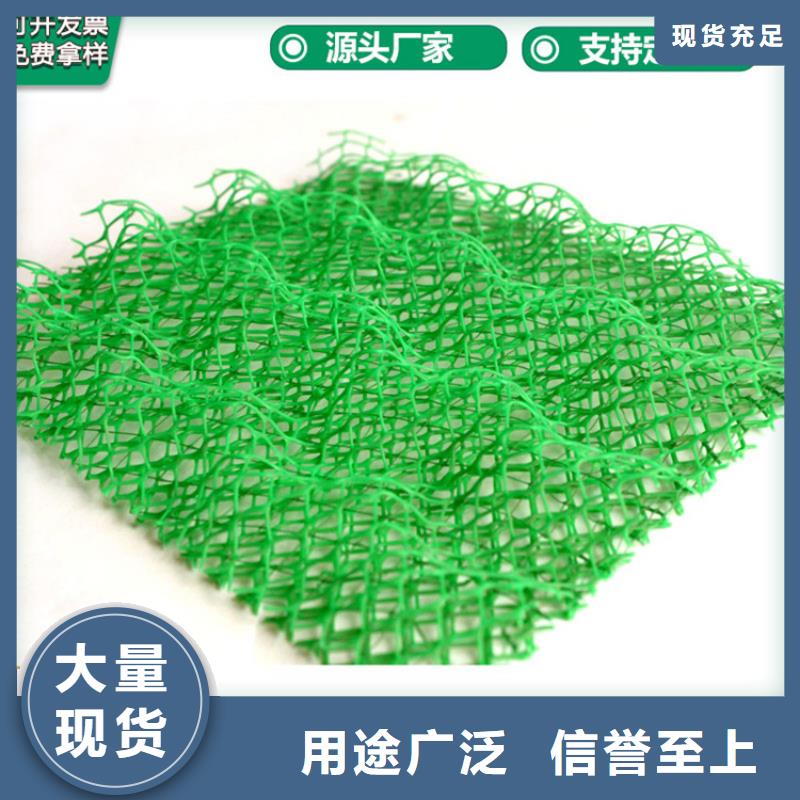 三維植被網(wǎng)土工膜免費詢價