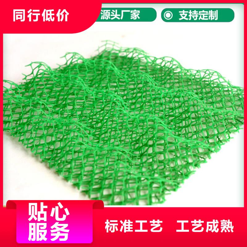 三維植被網土工布工程施工案例