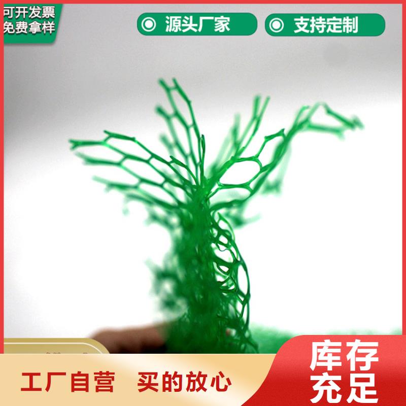 三維植被網(wǎng)土工膜免費詢價