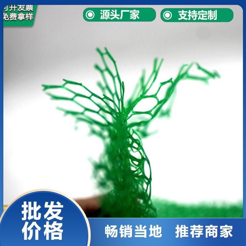 【三维植被网_土工膜现货供应】