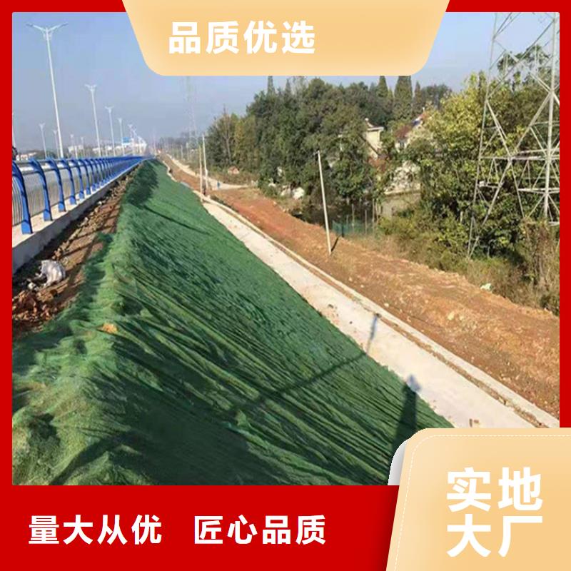 三維植被網(wǎng)土工膜質(zhì)量可靠