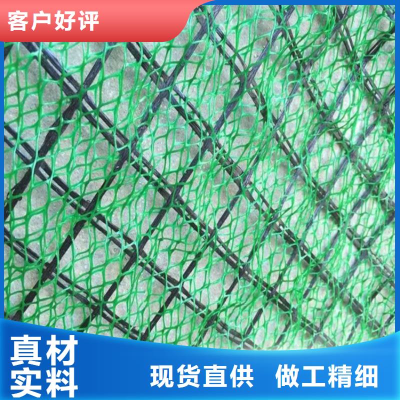 三維植被網土工布工程施工案例