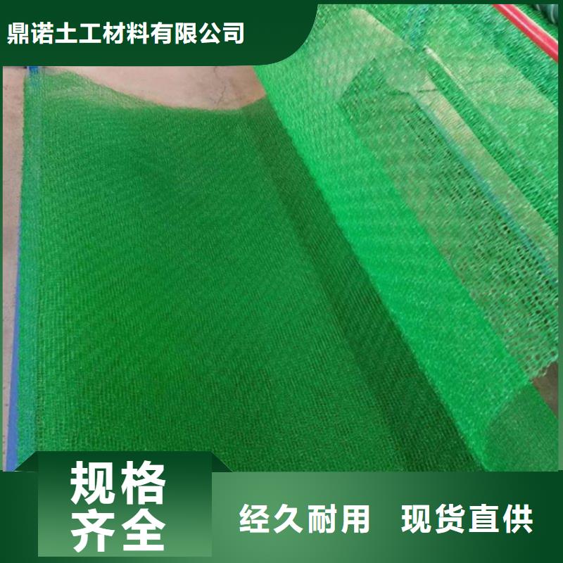 三維植被網土工布工程施工案例