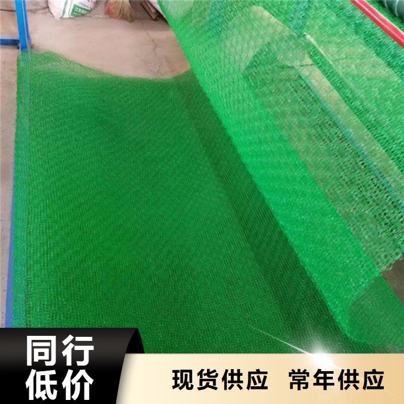 三維植被網復合土工膜廠家批發價