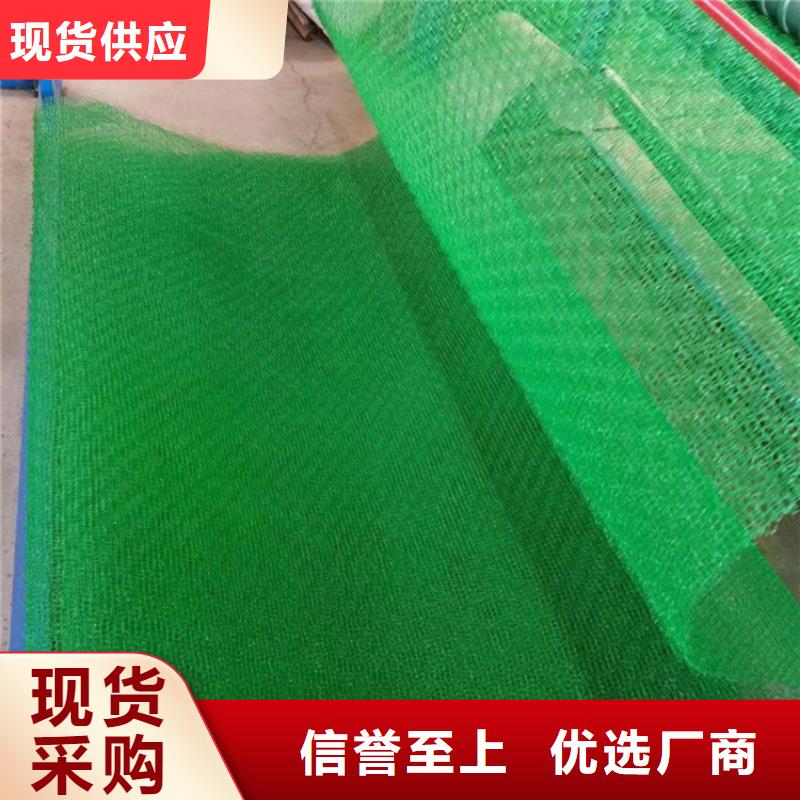 【三維植被網(wǎng)土工膜真實(shí)拍攝品質(zhì)可靠】