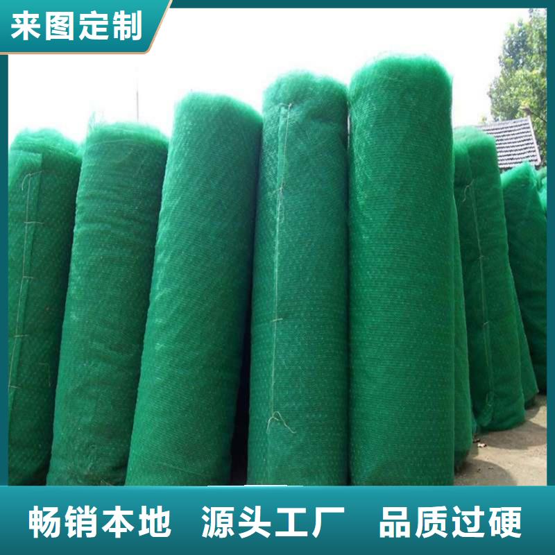 三維植被網土工布高品質現貨銷售