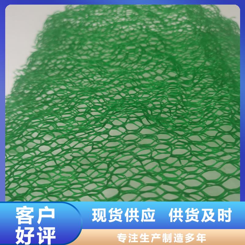 三維植被網土工布工程施工案例