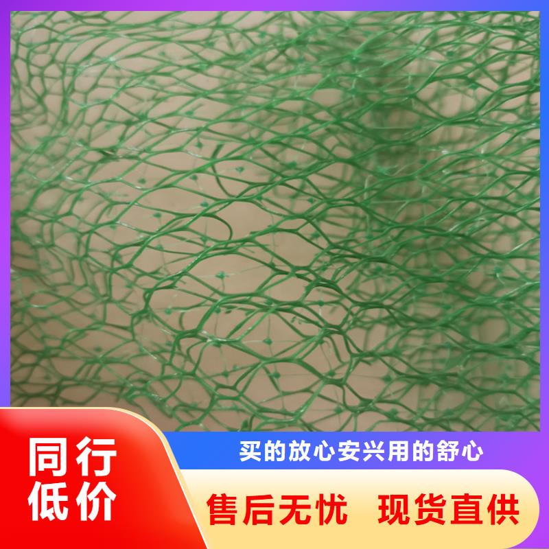 三維植被網(wǎng)土工布高品質(zhì)現(xiàn)貨銷售