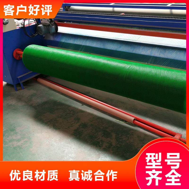 【三維植被網(wǎng)土工膜真實(shí)拍攝品質(zhì)可靠】