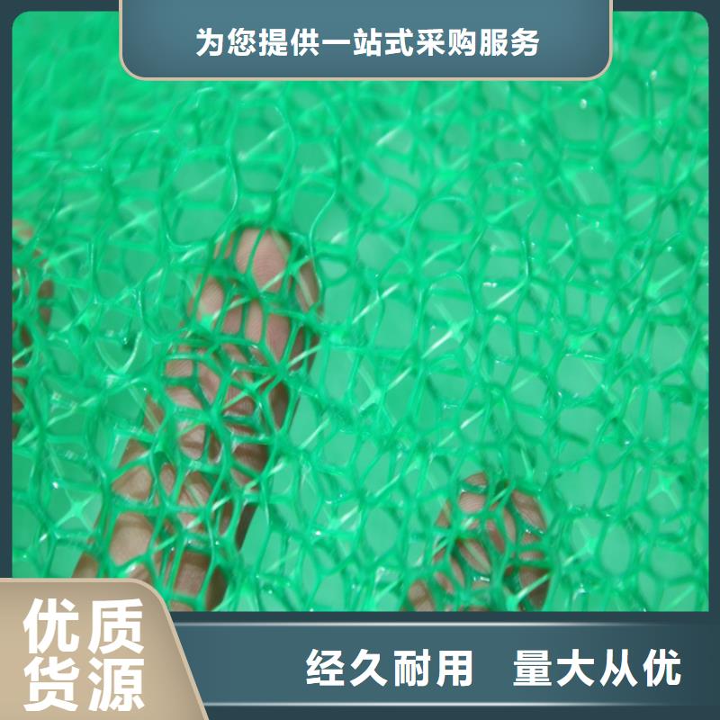 三维植被网软式透水管真材实料