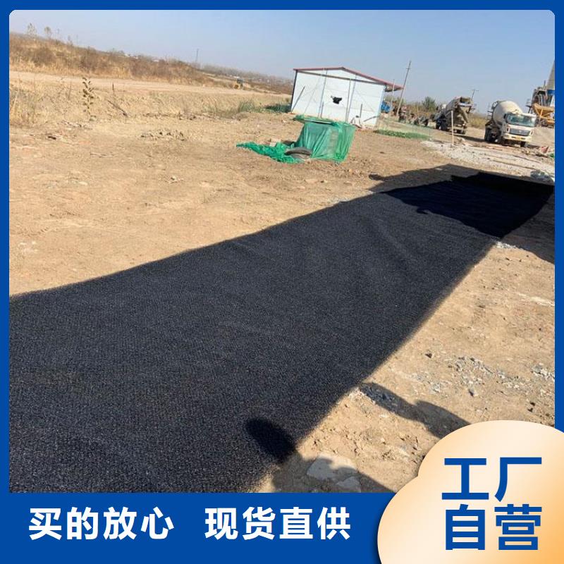 水土保護毯,膨潤土防水毯精工細致打造