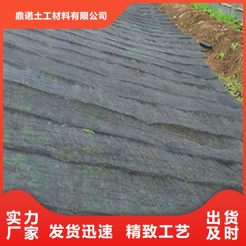 水土保护毯HDPE土工膜实力工厂