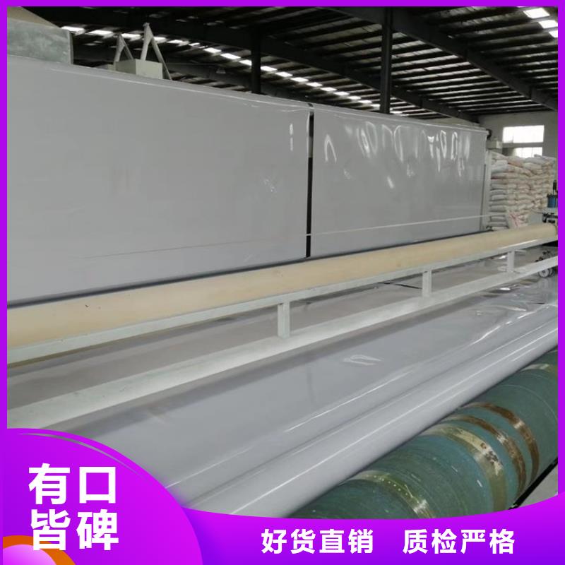 防水板防滲膜您身邊的廠家