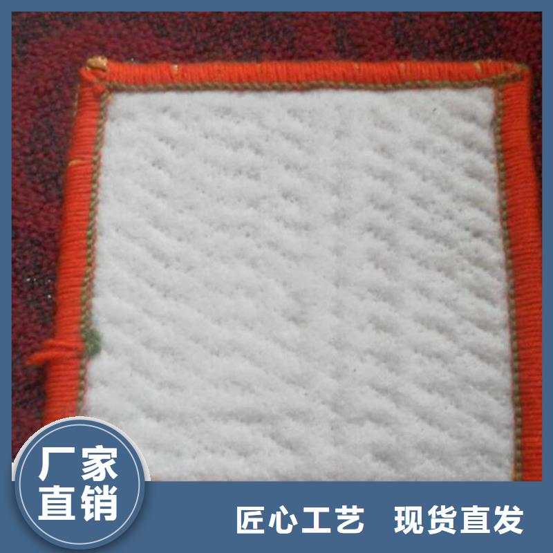 膨潤(rùn)土防水毯-土工布客戶(hù)信賴(lài)的廠家