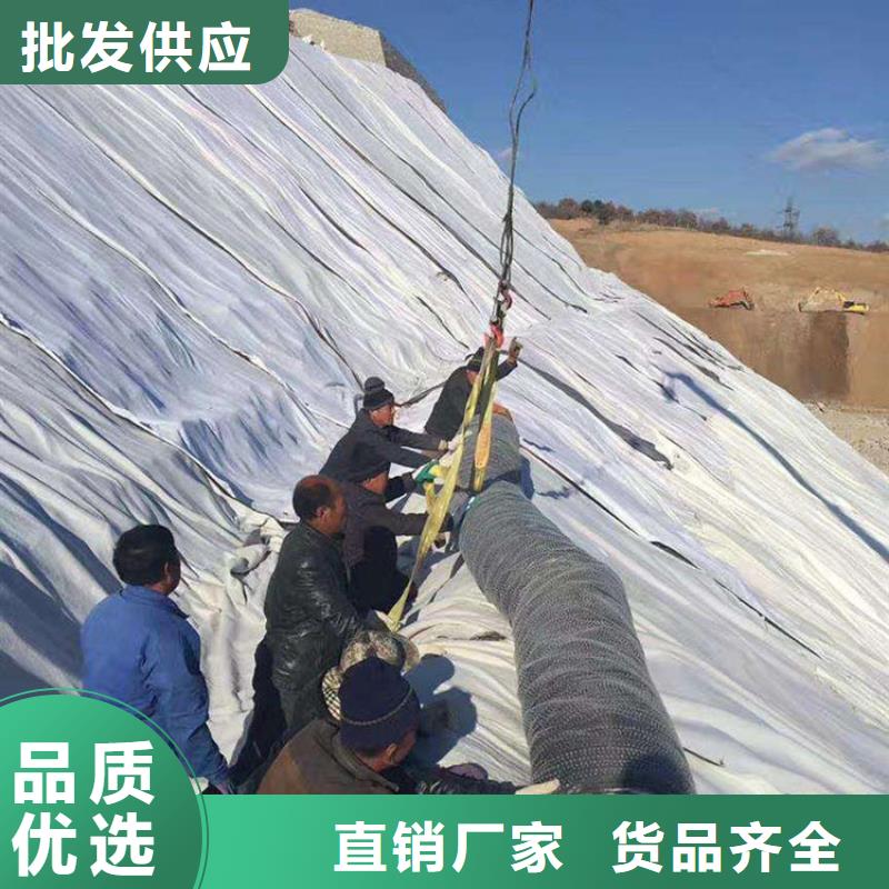 膨潤土防水毯HDPE土工膜為您精心挑選