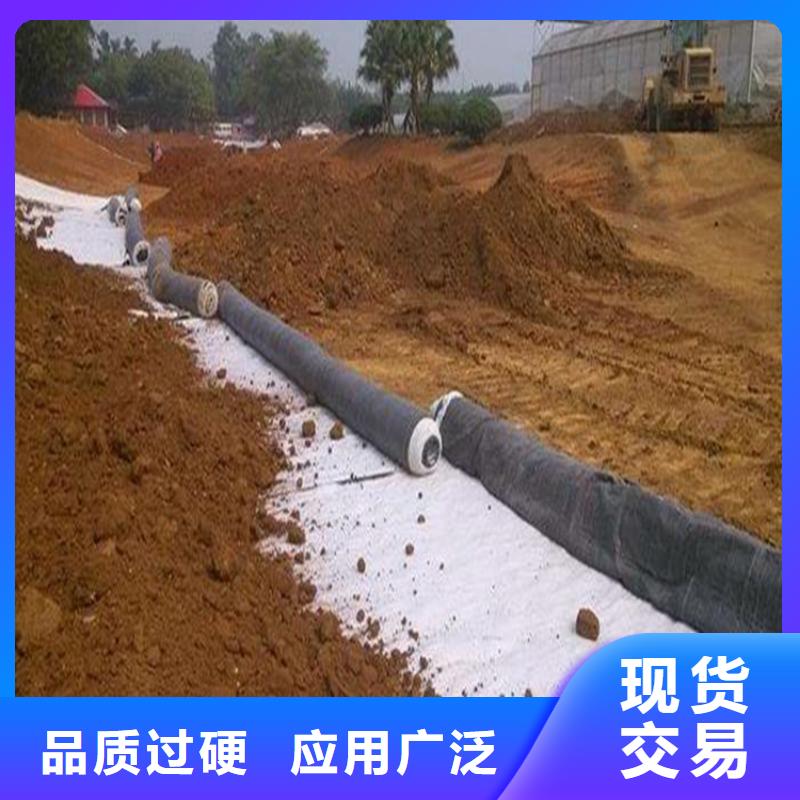 膨潤土防水毯_土工膜同行低價