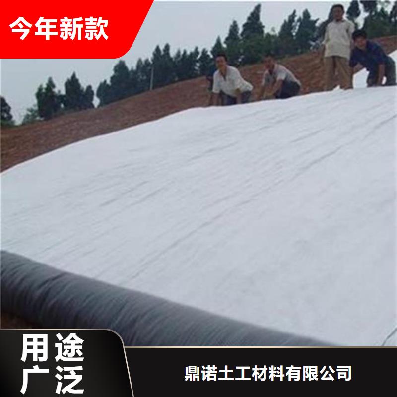 膨潤土防水毯植草格好品質選我們