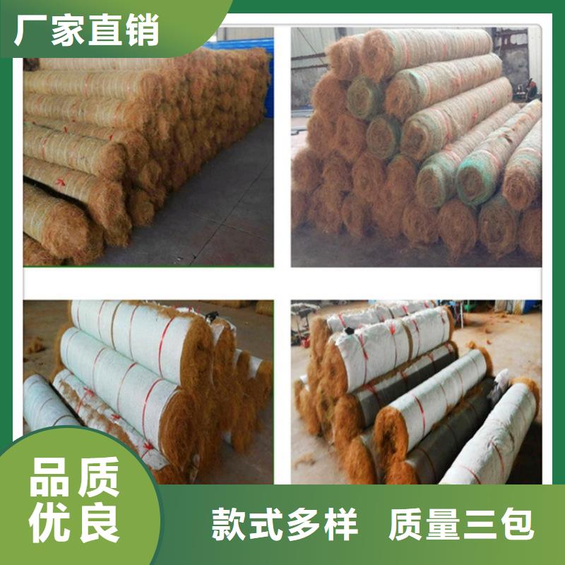 椰絲毯土工格柵商家
