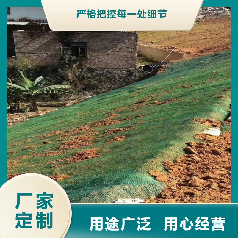 椰絲毯土工格柵商家