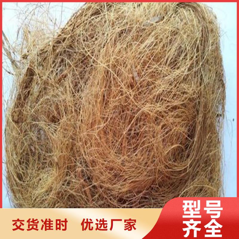 椰絲毯土工格柵商家
