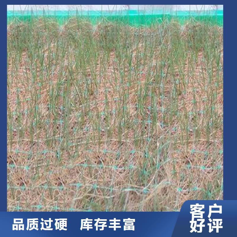椰絲毯【防滲膜】定制銷售售后為一體