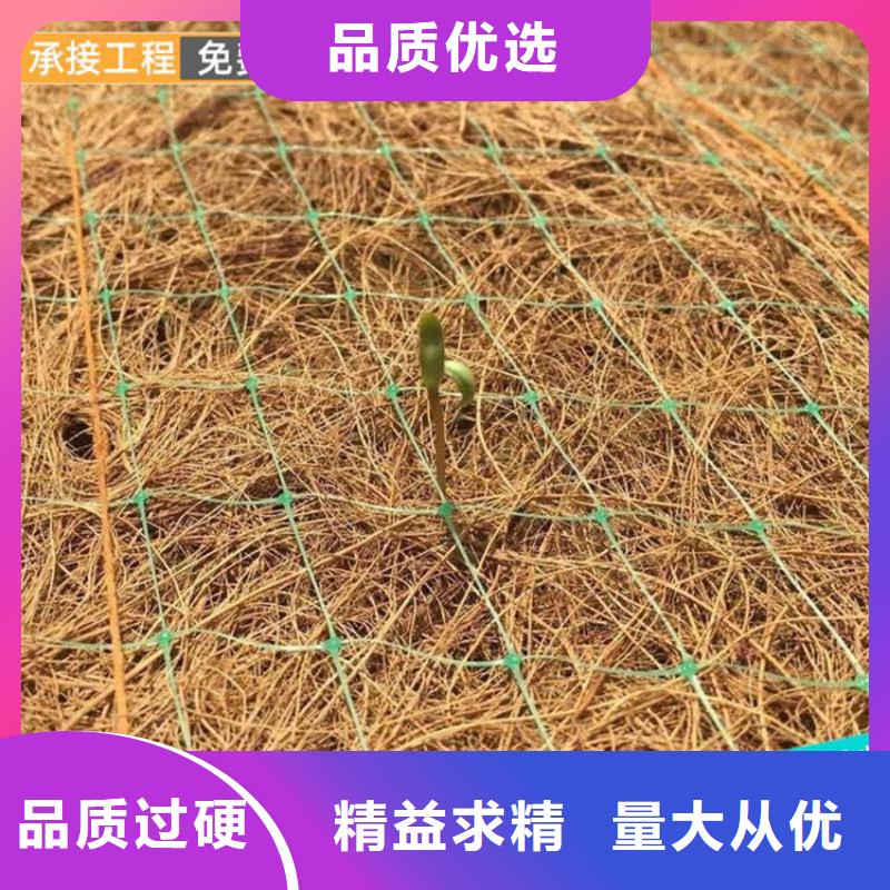 椰絲毯-塑料盲溝優質貨源