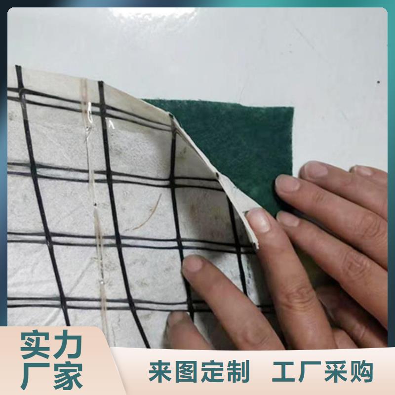 椰絲毯土工格柵商家
