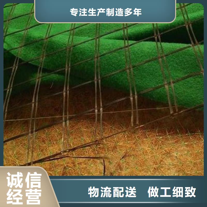 椰絲毯土工格柵商家