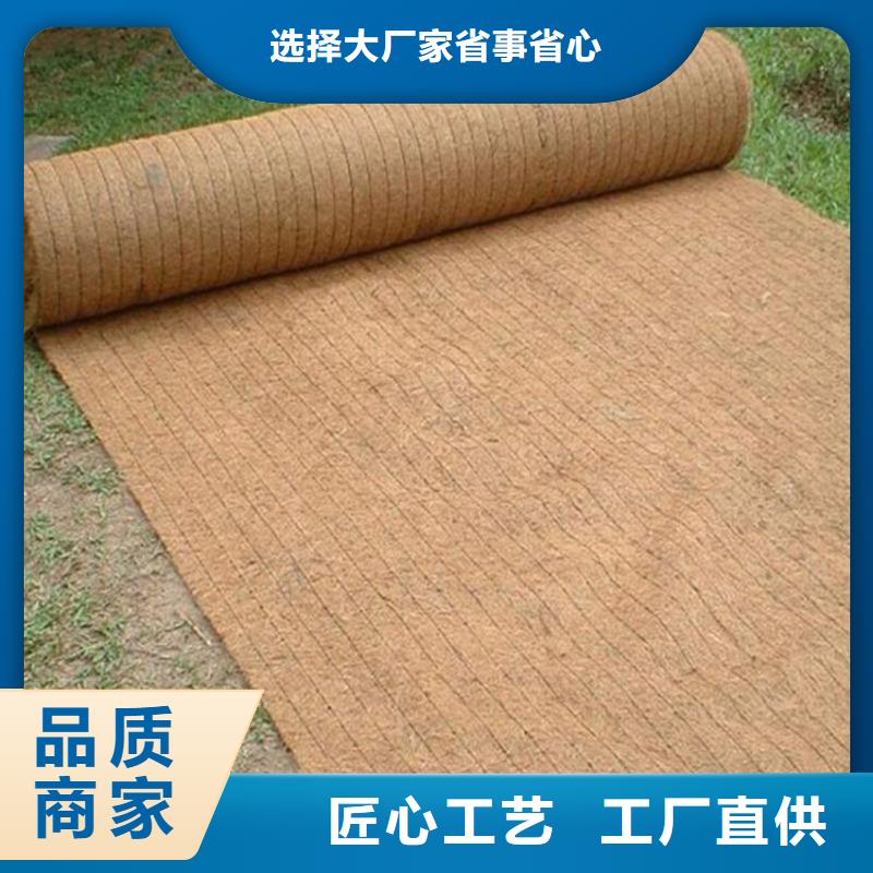 椰絲毯土工格柵商家