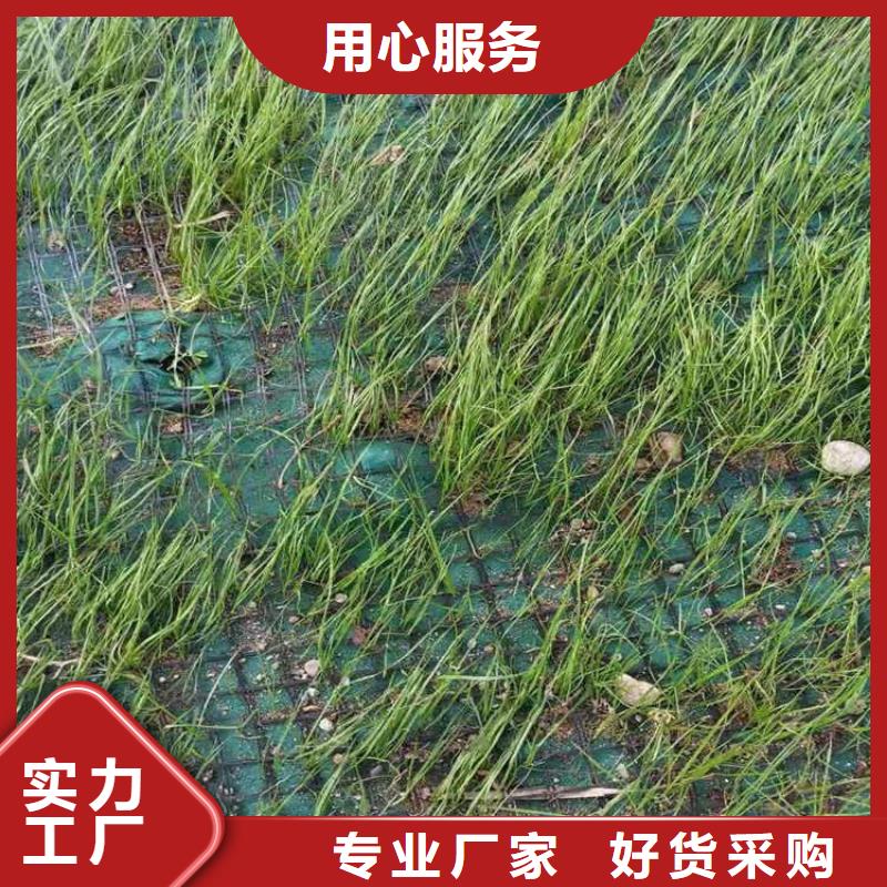 【椰絲毯-通風降噪絲網拒絕差價】