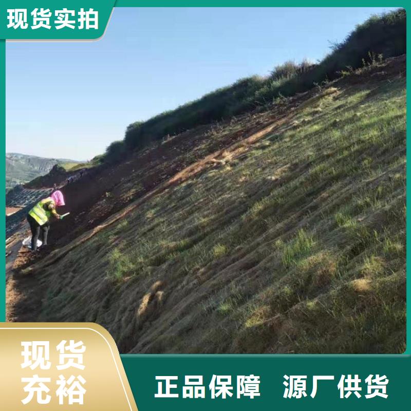 椰絲毯【防滲膜】定制銷售售后為一體