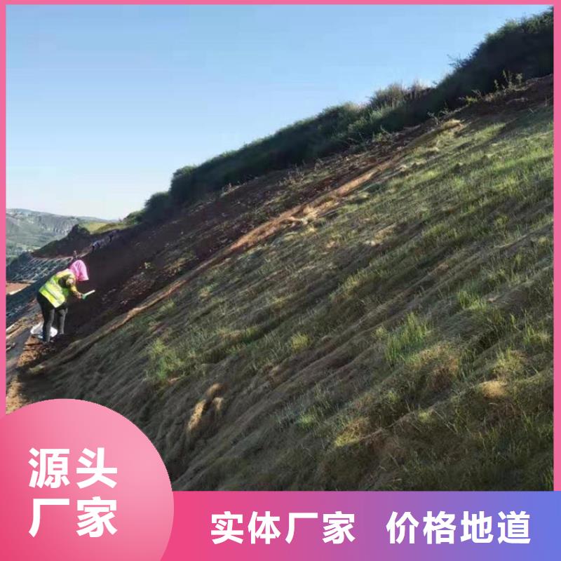 椰絲毯防水板好品質選我們