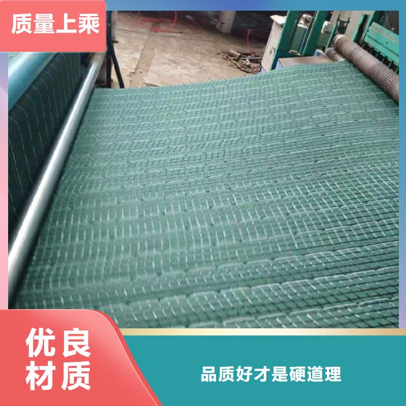 椰絲毯-塑料盲溝優質貨源