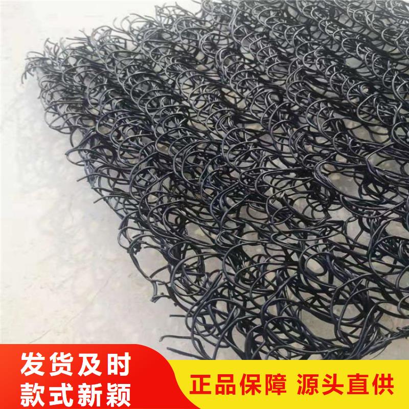 【土工席墊土工膜源廠定制】