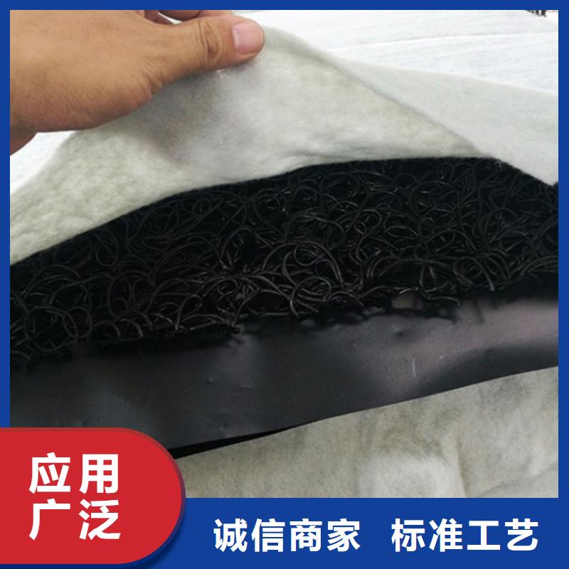 高明|顺德|广州|汕头|汕尾|茂名|韶关|深圳土工席垫,【土工格栅】品质卓越-鼎诺土工材料(佛山市分公司)
