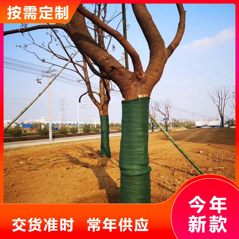 裹樹布-防水膜可零售可批發(fā)