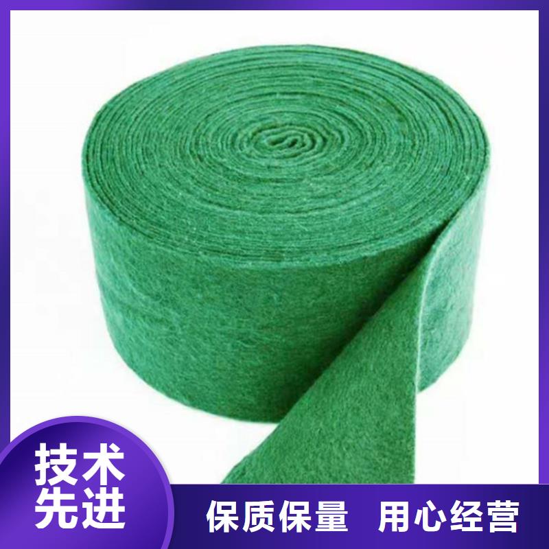 鼎诺防渗土工膜【 裹树布-土工布按需定制真材实料】