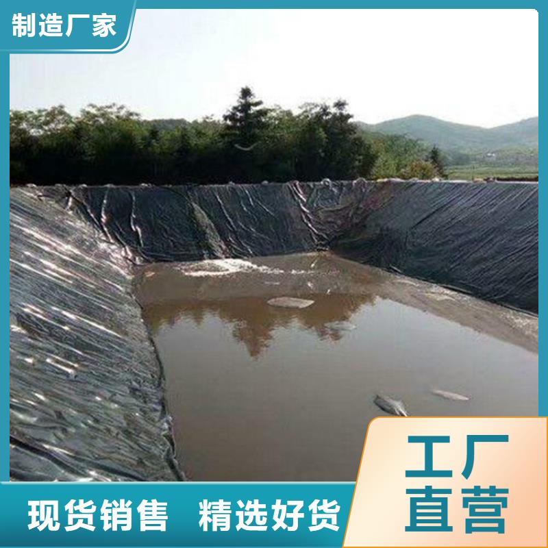 土工膜塑料土工格柵廠家定制