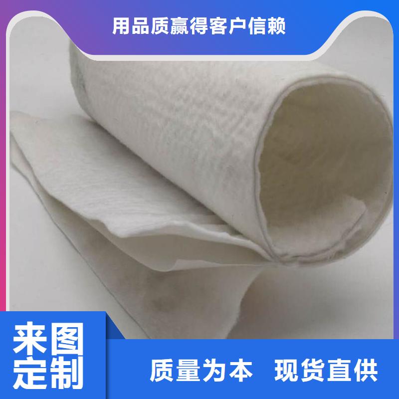 土工布滌綸格柵主推產品