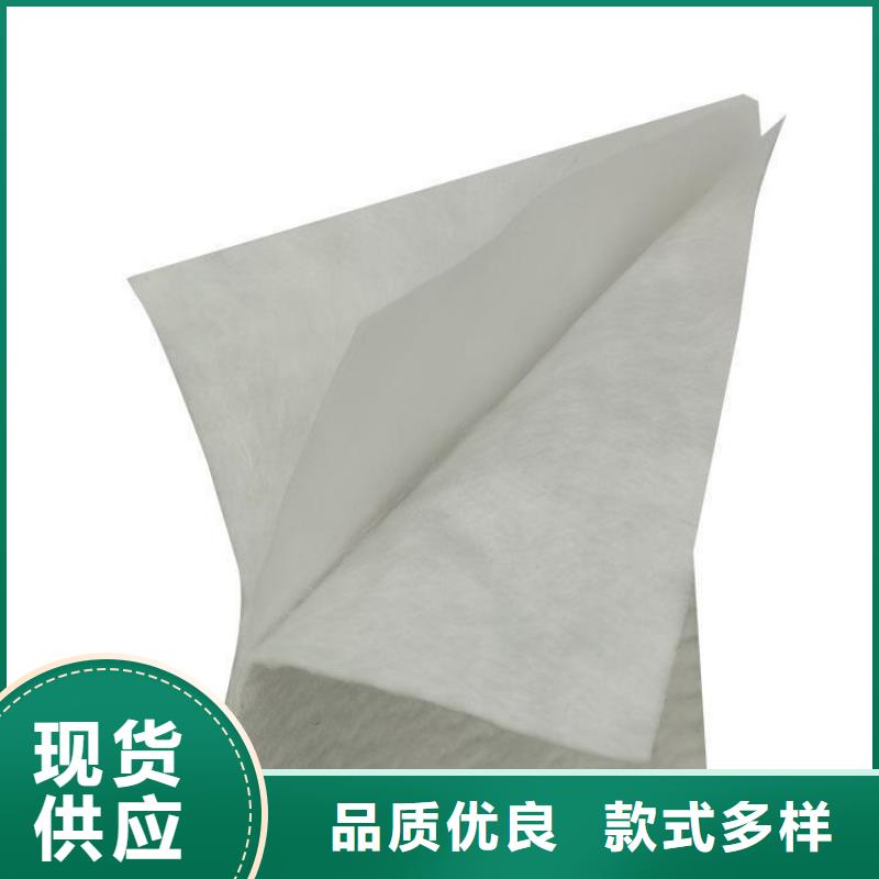 土工布滌綸格柵主推產品
