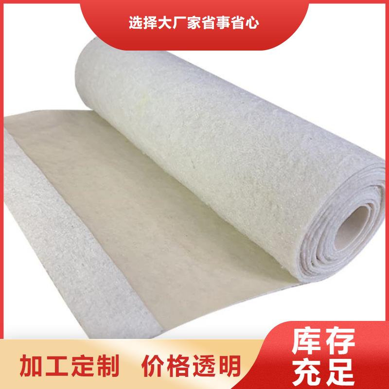 土工布滌綸格柵主推產品