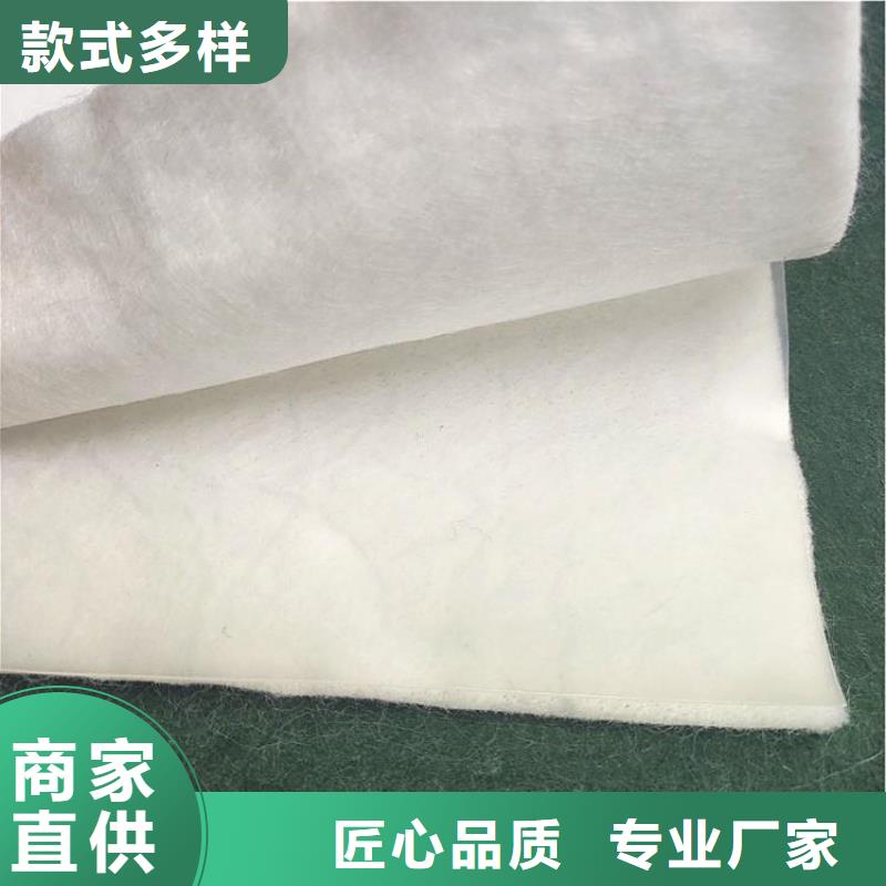 土工布滌綸格柵主推產品