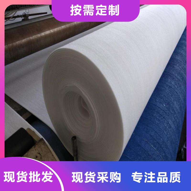 【土工布土工膜真正的源頭廠家】
