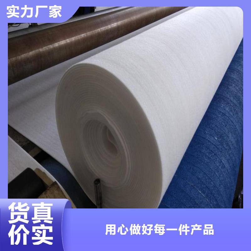 土工布滌綸格柵主推產品