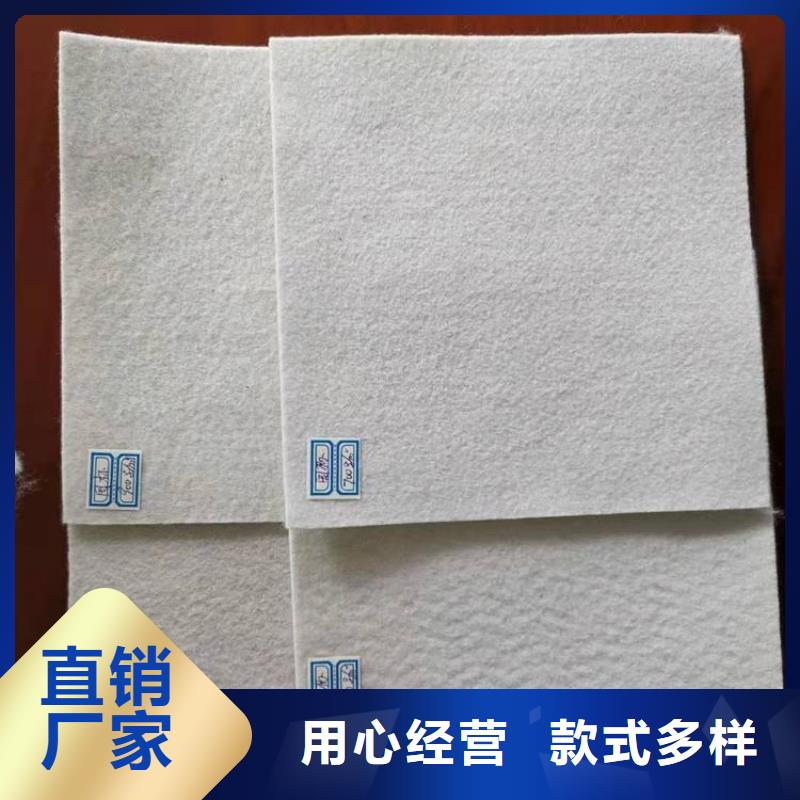 土工布滌綸格柵主推產(chǎn)品