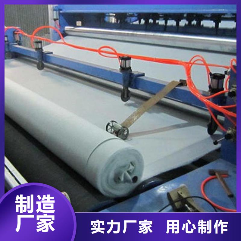 【土工布土工膜真正的源頭廠家】