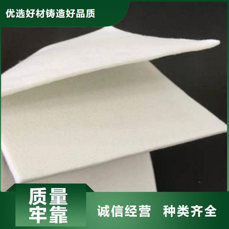土工布滌綸格柵主推產(chǎn)品