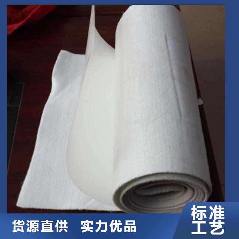 土工布滌綸格柵主推產品