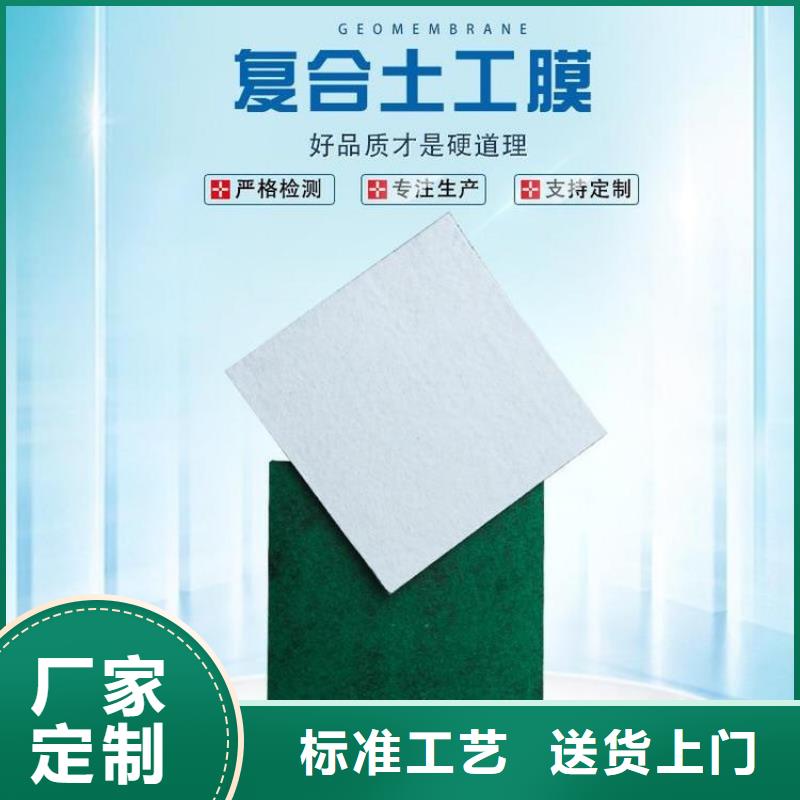 【土工布土工膜真正的源頭廠家】