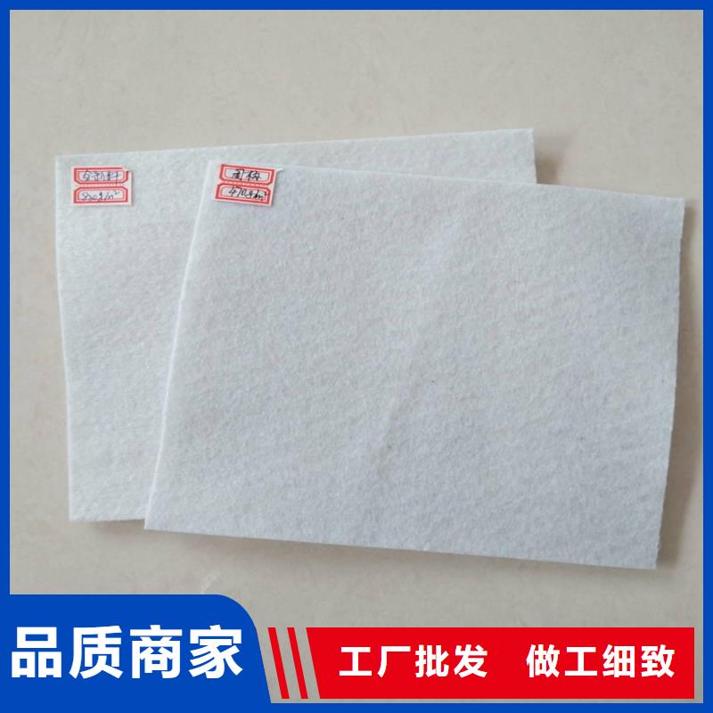 土工布双向塑料土工格栅甄选好厂家